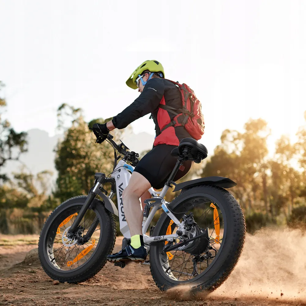 Bici elettrica VARUN modello S26-1 con batteria 48V 18Ah