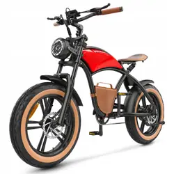HIDOES B10 E-Bike Fat Tire