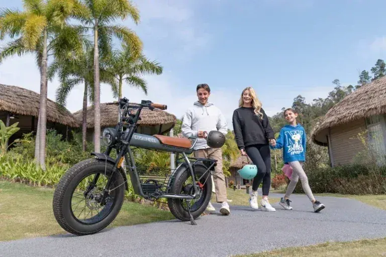 Coswheel CT20 2.0 Fat Tire E-Bike image 6