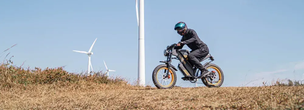 Coswheel GT20 Fat Bike Elettrica image 3