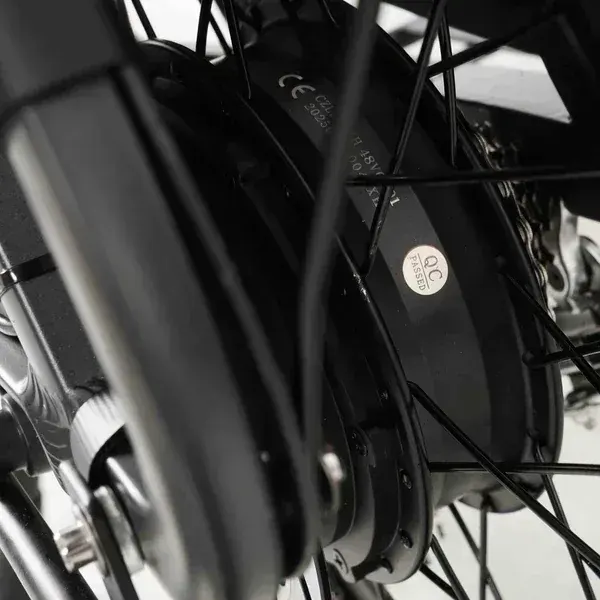 Pneumatico off-road Chaoyang 20x2.4 della Coswheel HQ20, con battistrada tassellato.