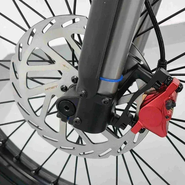 Coswheel R19 Bici Elettrica da Montagna image 11