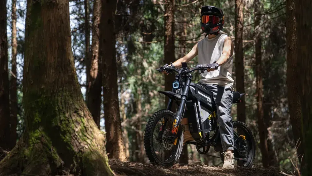 Coswheel R6000 Bici Elettrica da Dirt image 11