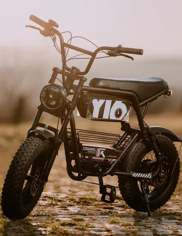 Coswheel Y16 Bici Elettrica Fat Bike image 8