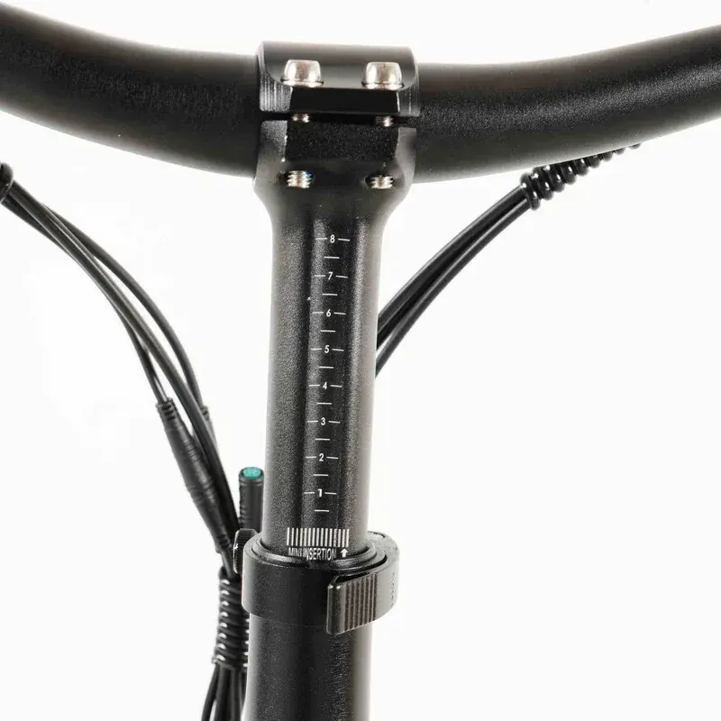 Coswheel Y20L Bici Elettrica Pieghevole image 10