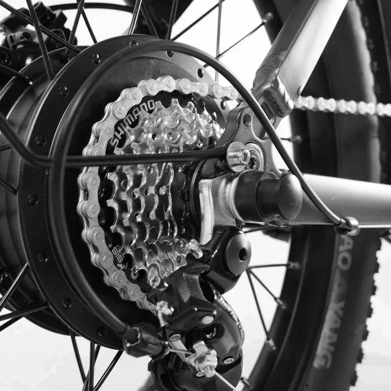 Coswheel Y20L Bici Elettrica Pieghevole image 12