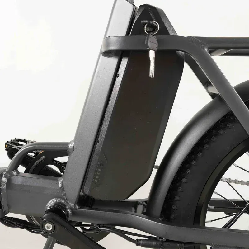 Coswheel Y20L, ruota anteriore con sospensione ammortizzata e pneumatico off-road.