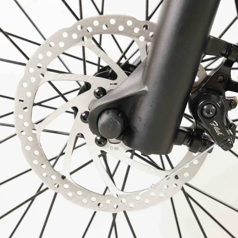Coswheel Y20L Bici Elettrica Pieghevole image 8