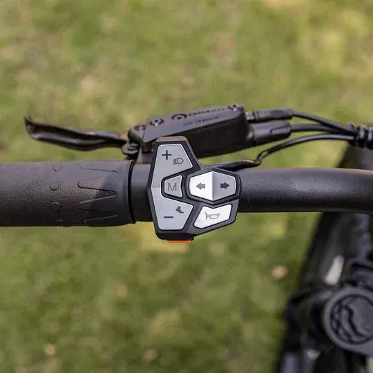 Cyrusher Ranger 2.0, freni a disco idraulici Tektro con pinza a 4 pistoni