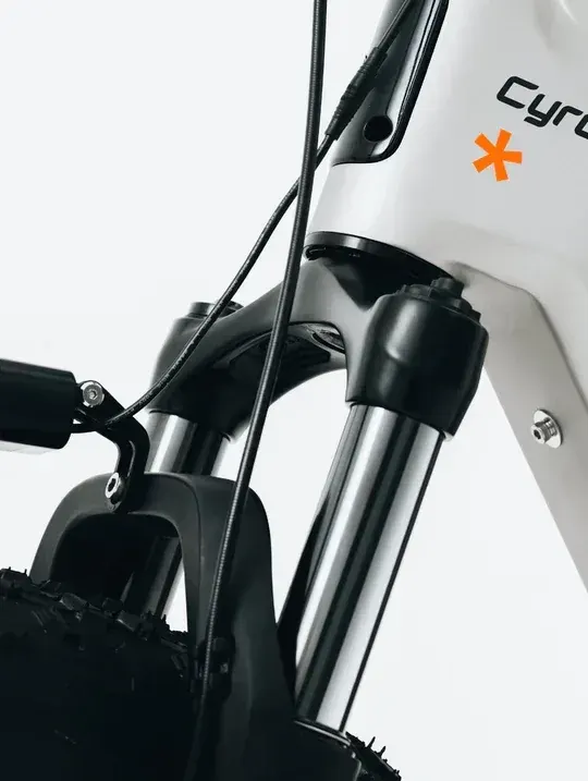 Cyrusher Zenith Bici Elettrica Fat Tire image 11