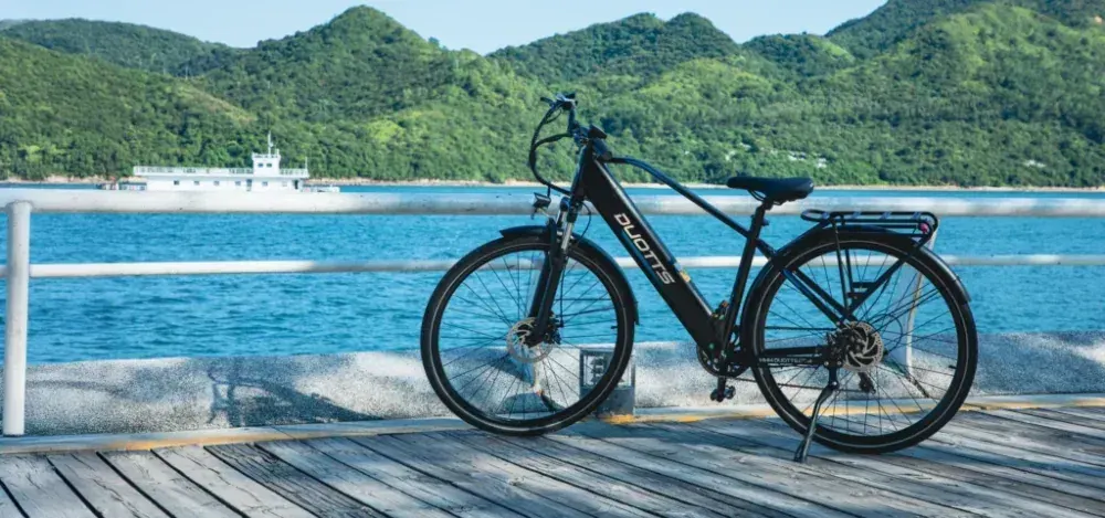 Duotts C29 Lite Bici Elettrica City image 10
