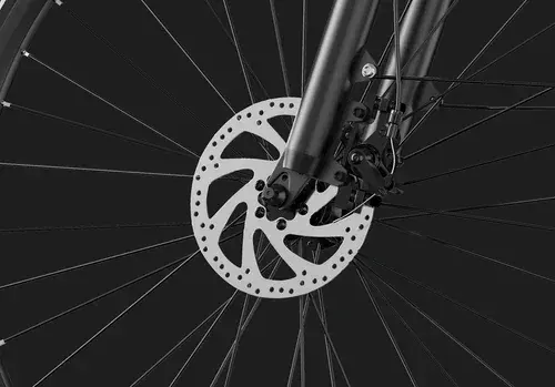 Duotts C29 Lite Bici Elettrica City image 8