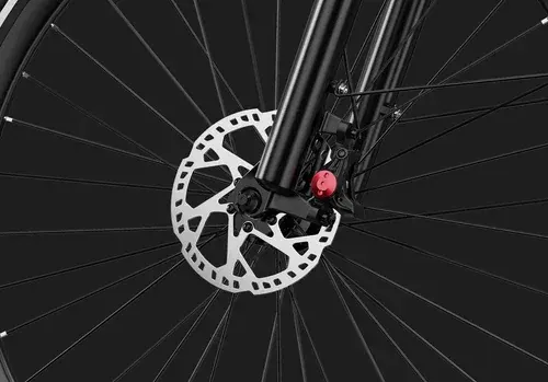 Duotts C29Max Bici Elettrica City image 8