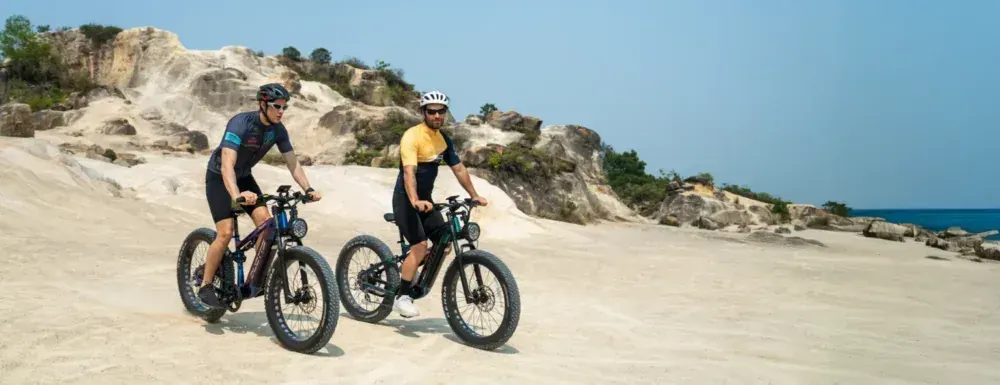 Duotts E26 Bici Elettrica Fat Bike All-Terrain image 3