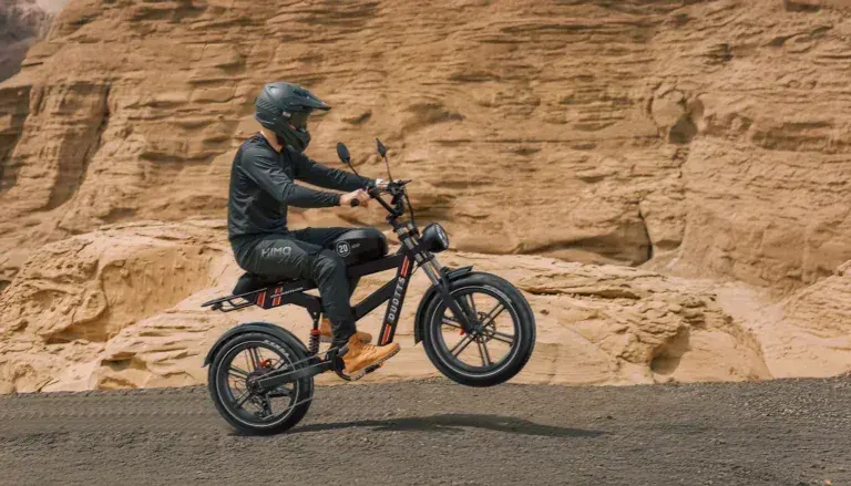 Duotts F20 Bici Elettrica Fat Bike Pieghevole image 4