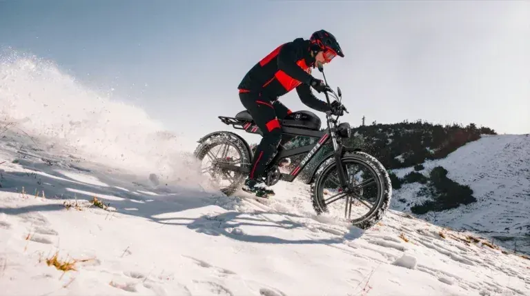 Duotts F20 Bici Elettrica Fat Bike Pieghevole image 5
