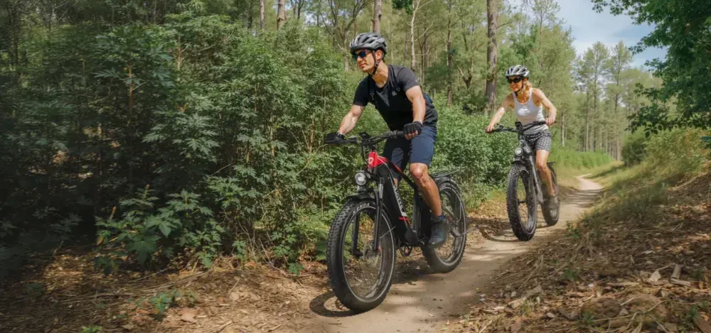 Duotts F26Lite Bici Elettrica Fat Bike Leggera image 3