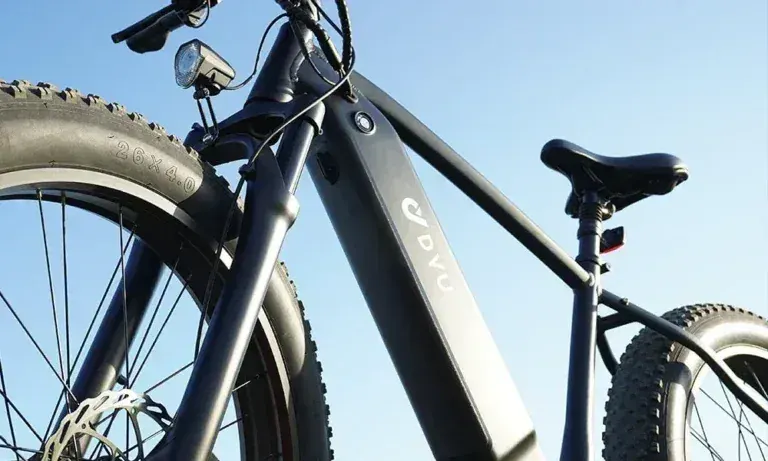 DYU King 750 Fat Bike Elettrica image 12