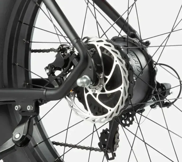 DYU King 750 Fat Bike Elettrica image 4