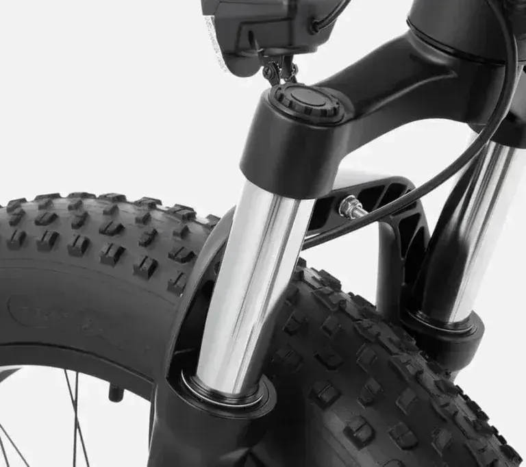 DYU King 750 Fat Bike Elettrica image 5