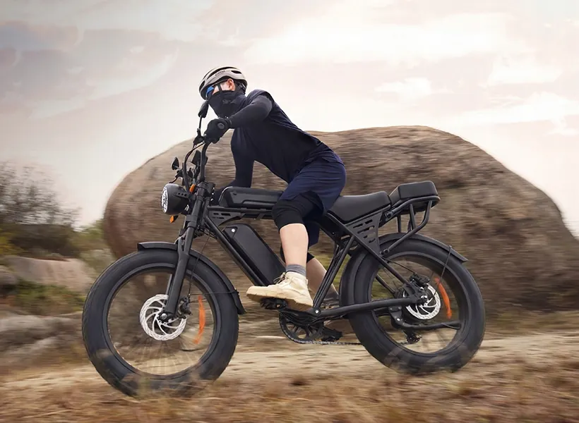 AAIRSK X5 Fat Bike Elettrica 20" image 12