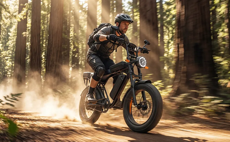 AAIRSK X5 Fat Bike Elettrica 20" image 2