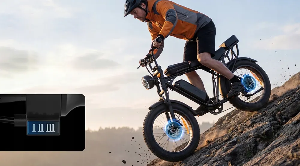 E-bike fat bike 20 pollici con batteria 48V 15Ah e autonomia 48-60 km