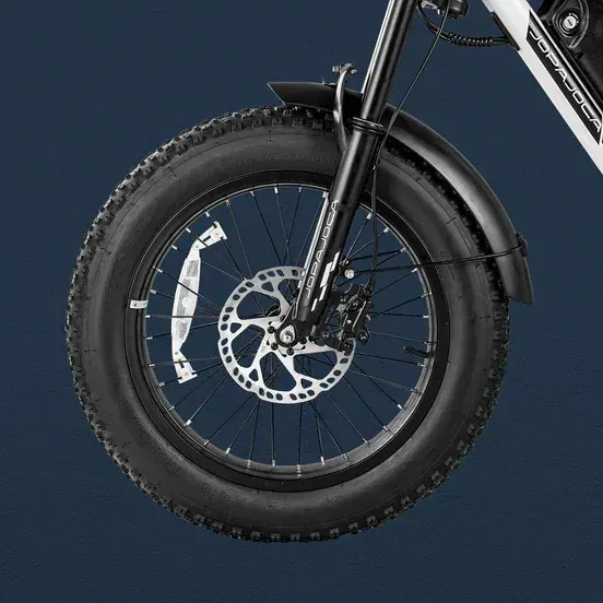 Eahora Luna II Bici Elettrica Fat Bike image 6