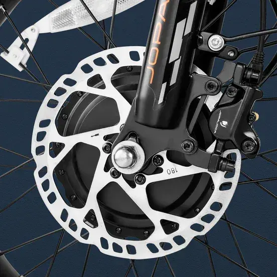 Eahora Luna II Bici Elettrica Fat Bike image 7