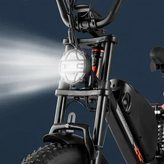 Eahora Luna II Bici Elettrica Fat Bike image 9