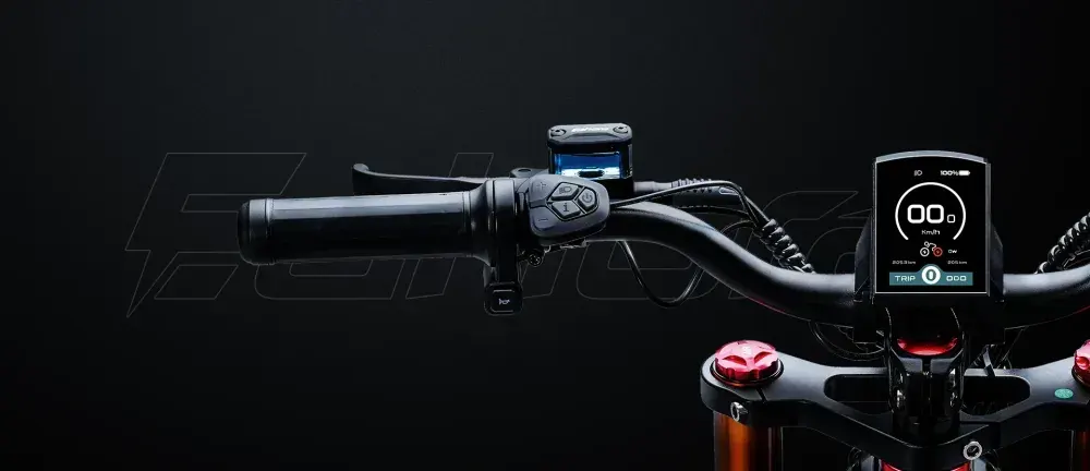 Motore mozzo posteriore da 250W della Eahora Romeo Pro II, con cavi e copertura.