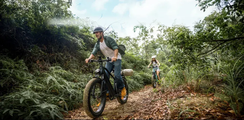 Engwe E26 Fat Bike Elettrica Full Suspension image 8