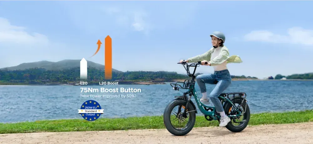 Engwe L20 Boost E-Bike Fat Bike Step-Thru image 4