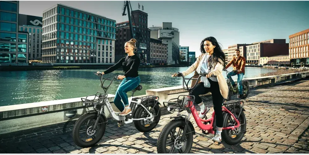 Engwe L20 Bici Elettrica Fat Bike Pieghevole image 6