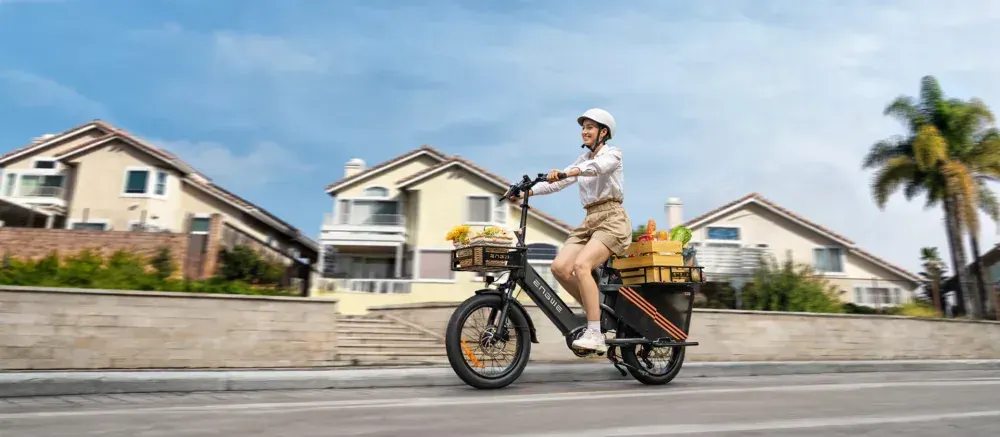 Engwe LE20 Cargo Bike Elettrica image 10