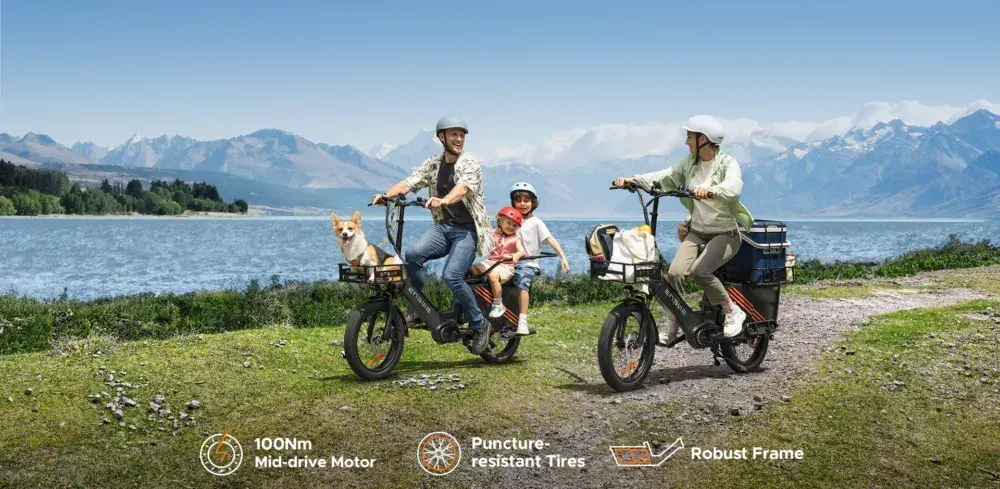 Engwe LE20 Cargo Bike Elettrica image 7