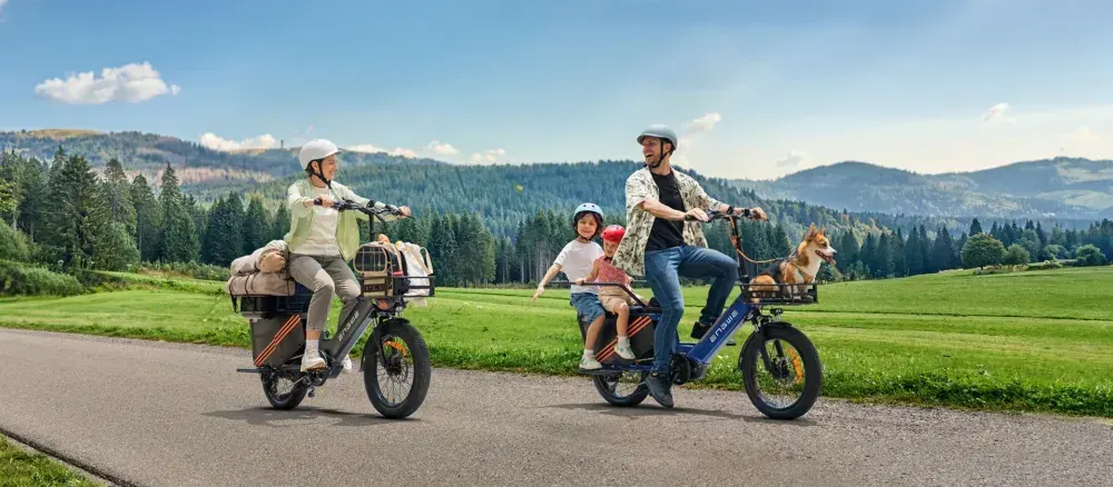 Engwe LE20 Cargo Bike Elettrica image 9