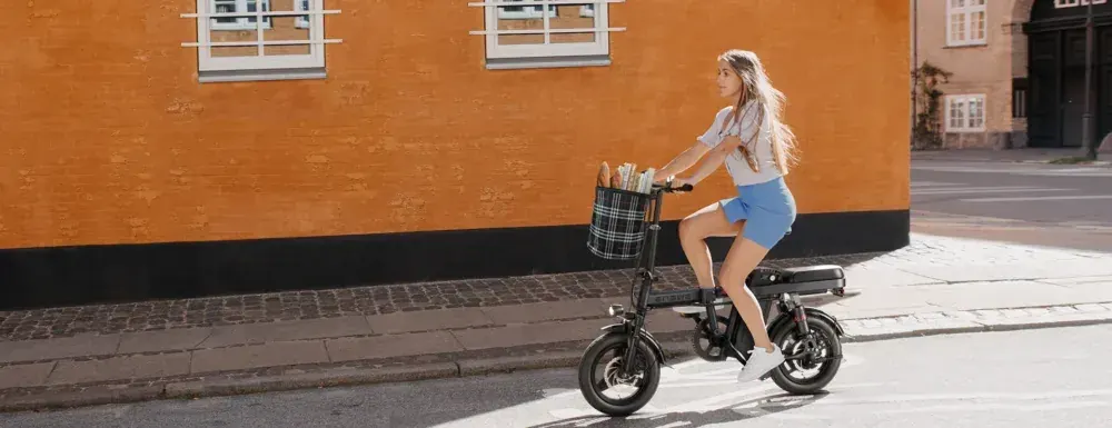 Engwe T14 Bici Elettrica Pieghevole image 6