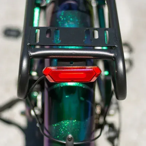 Fafrees F20 Master Fat Bike Elettrica image 11