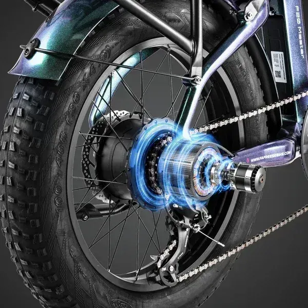 Fafrees F20 Master Fat Bike Elettrica image 4