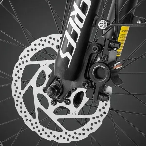 Fafrees F20 Master Fat Bike Elettrica image 8