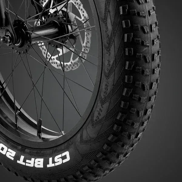 Fafrees F20 Master Fat Bike Elettrica image 9