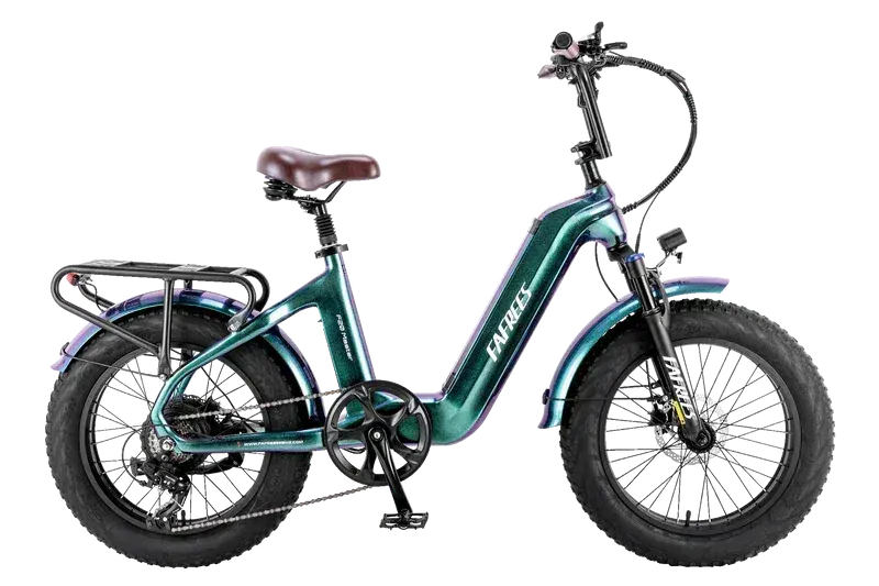 Fafrees F20 Master Fat Bike Elettrica image 13