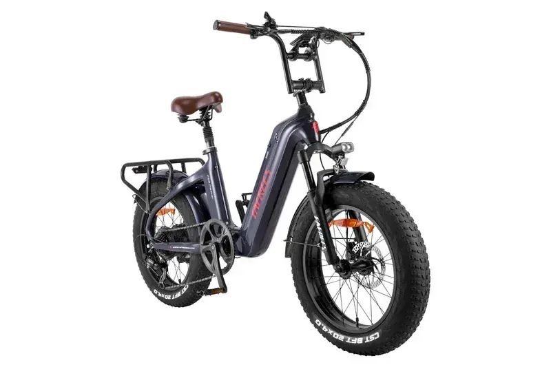 Fafrees F20 Master Fat Bike Elettrica image 14