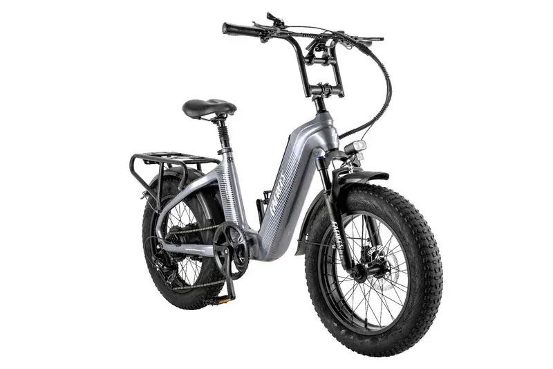 Fafrees F20 Master Fat Bike Elettrica image 15