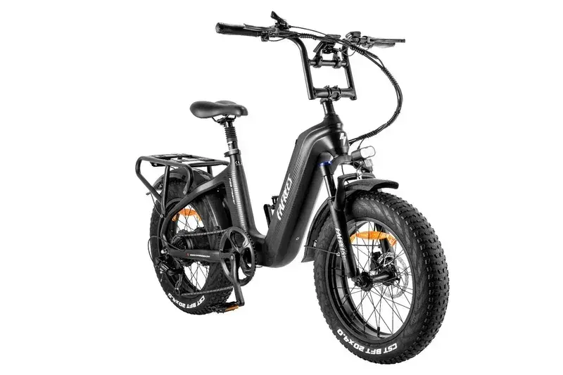 Fafrees F20 Master Fat Bike Elettrica image 16