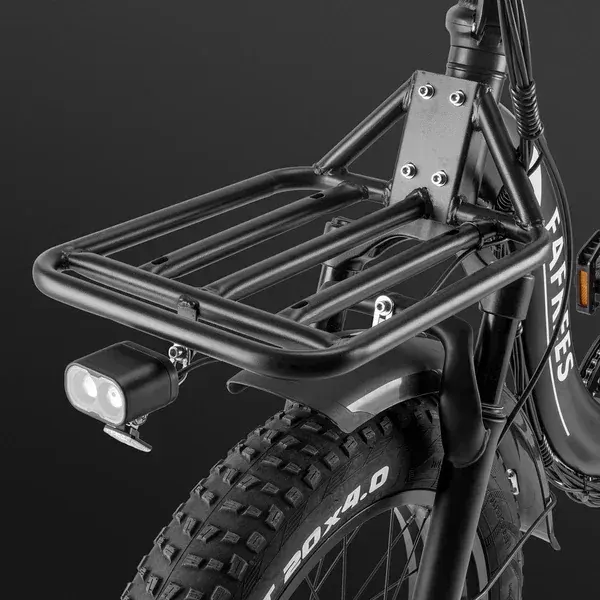 Fafrees F20 X-Max Cargo E-Bike Pieghevole image 11