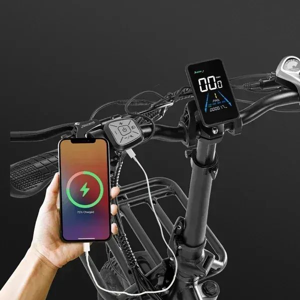 Fafrees F20 X-Max Cargo E-Bike Pieghevole image 6