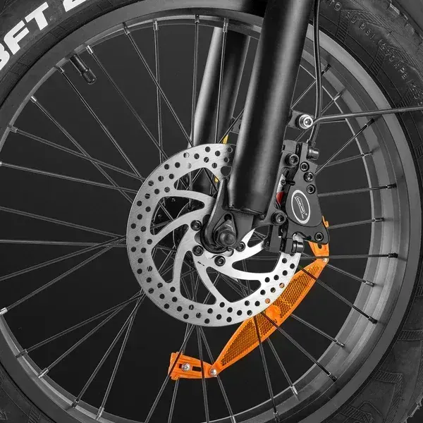 Fafrees F20 X-Max Cargo E-Bike Pieghevole image 7