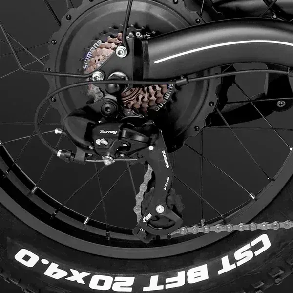Fafrees F20 X-Max Cargo E-Bike Pieghevole image 9